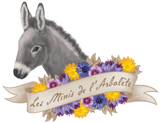 Les Minis de l'Arbalète